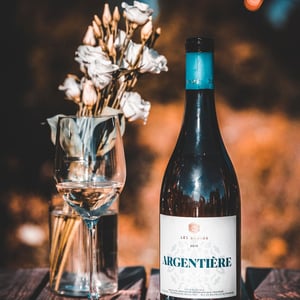 Argentière - Domaine les Davids - les-davids