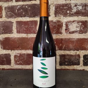 Ariel - Chai Julip - judith-melka-philippe-peignier -2021