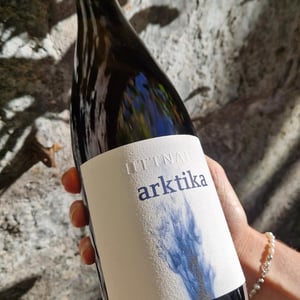 Arktika - Hans & Anita Nittnaus - hans-anita-nittnaus