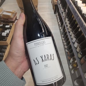 As Xaras - Fedellos do Couto - luis-taboadacurro-barreno-jesus-olivares -2021