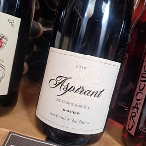 Aspirant - Casa Caterina - aurelio-emilio-del-bono