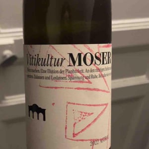 Astral Muskat Ottonel - Vitikultur MOSER - Familie Moser -2019