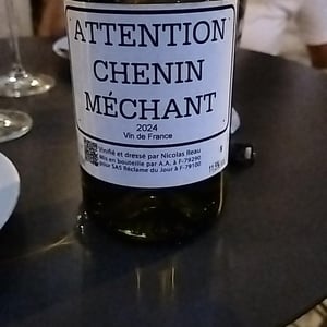 Attention Chenin Méchant - Le Clos des Treilles - nicolas-reau