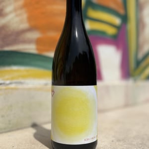 Aura - Weingut Michi Lorenz - michi-lorenz -2020