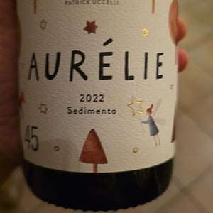 Aurélie 45 - Ansitz Dornach - patrick-karoline-uccelli