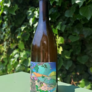 Aurore - Domaine De L’Enviegne - alexis-tondeur -2021