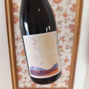 Auxey-Duresses - La Chaume des Lies - margaux-rivaux-lothar-galloo