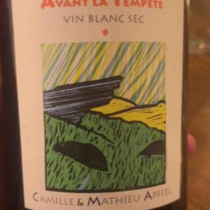 Avant La Tempête - Mathieu Apffel - camille-mathieu-apffel