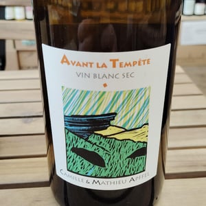 Avant La Tempête - Mathieu Apffel - camille-mathieu-apffel