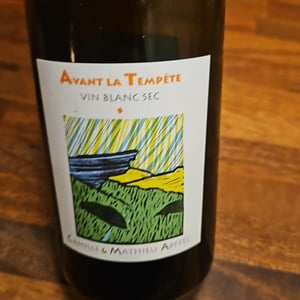 Avant La Tempête - Mathieu Apffel - camille-mathieu-apffel