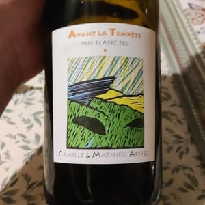 Avant La Tempête - Mathieu Apffel - camille-mathieu-apffel