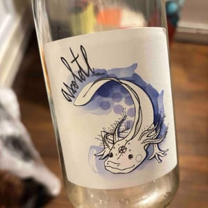 Axoltolt - Kambyum - vincent-christophe