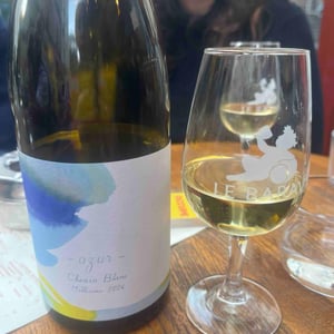 Azur - 1006 Vins de Loire - pauline-lair