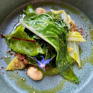 Blettes - Les jardins de la matz - 915932