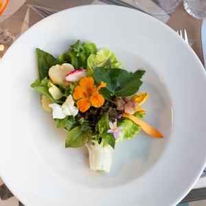 Bouquet - Straneria - 934486