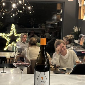 Baga tinto - Quinta da Vacariça - francois-chasans