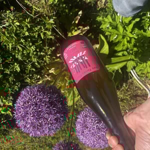 Baraka - Les Terres Bleues - xaviere-hardy -2021