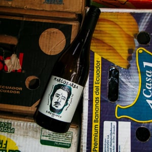 Barbabianca - Marco Barba - marco-bertoldo