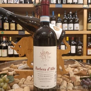 Barbera d'Alba - Azienda Vitivinicola Flavio Roddolo - flavio-roddolo