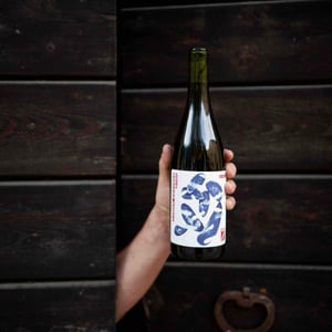 Barbera d’Asti - Sette Wine - gianluca-colombo-gino-della-porta