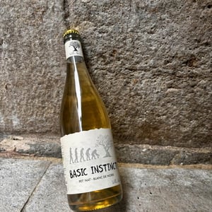 BASIC INSTINCT BLANC PET NAT - Villa Noria - cedric-arnaud-fabien-gross