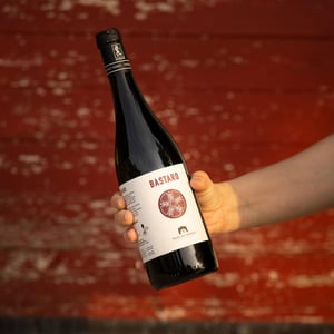 Bastaro - Tenuta San Marcello - massimo-palmieri-pascale-marquet