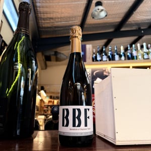 BBF - Domaine André & Mireille Tissot - benedicte-stephane-tissot