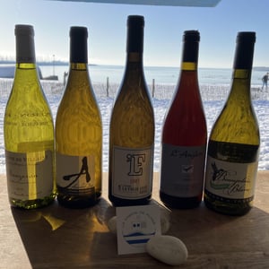 Beaujolais Blanc - Domaine de la Bonne Tonne - thomas-anne-laure-agatensi