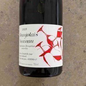 Beaujolais Nouveau - Jean Foillard - jean-foillard