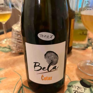 Bela - Čotar - branko-vasja-cotar