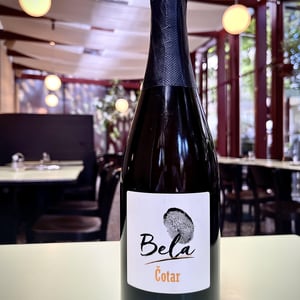 Bela - Čotar - branko-vasja-cotar