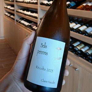 Bellis Perennis - Domaine Henri Naudin-Ferrand - claire-naudin