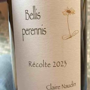 Bellis Perennis - Domaine Henri Naudin-Ferrand - claire-naudin