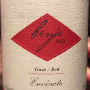 Benje Tinto - Envínate - roberto-santana-alfonso-torrente-laura-ramos-jose-martinez