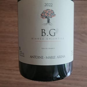 B.G - Antoine-Marie Arena - antoine-marie-arena