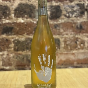 Bianchetto - Lammidia - marco-giuliani-davide-gentile