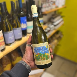 Bianchi Grilli Pecorino - Torre dei Beati - adriana-galasso