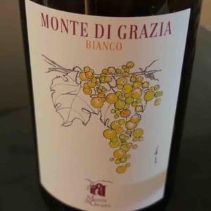 Bianco - Monte di Grazia - Alfonso Arpino
