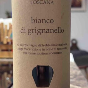 bianco di grignanello - Il Borgo di Grignanello - Mario Marinello -2021
