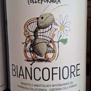 Biancofiore - Colleformica - sergio-paulo-bombetti