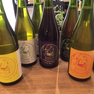 Bitter orange. - Brasserie Des Voirons - brasserie-des-voirons-beer-maker