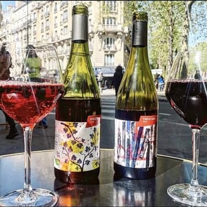 BIVIZIKI - Domaine Jean David - jean-luc-auffret-martine-jean-david -2024