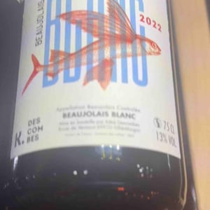 Blanc - Kewin Descombes - kewin-descombes -2020