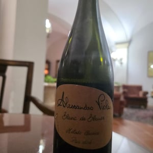 Blanc de Blancs - Azienda Agricola Alessandro Viola - alessandro-viola