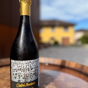 Blanc de Blancs - Castel Noarna - marco-zani