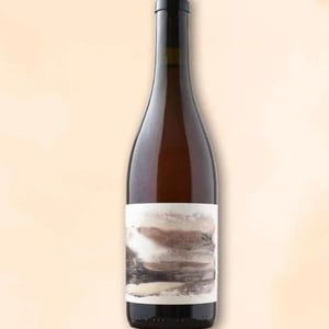 Blanc de Noir - Domaine Inebriati - victor-beau -2021