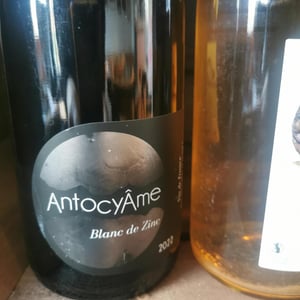 Blanc de Zinc - AntocyÂme - muriel-zoldan