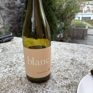 Blanc - Domaine Yannick Pelletier - yannick-pelletier