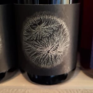 Blüemarawa de Jean-Paul - Vins pirouettes - pierre-sanchez-remi-segura-xavier-couturier -2019