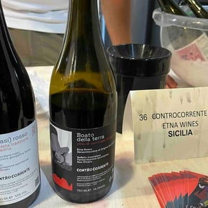 Boato della Terra - Controcorrente - antonino-cali -2022